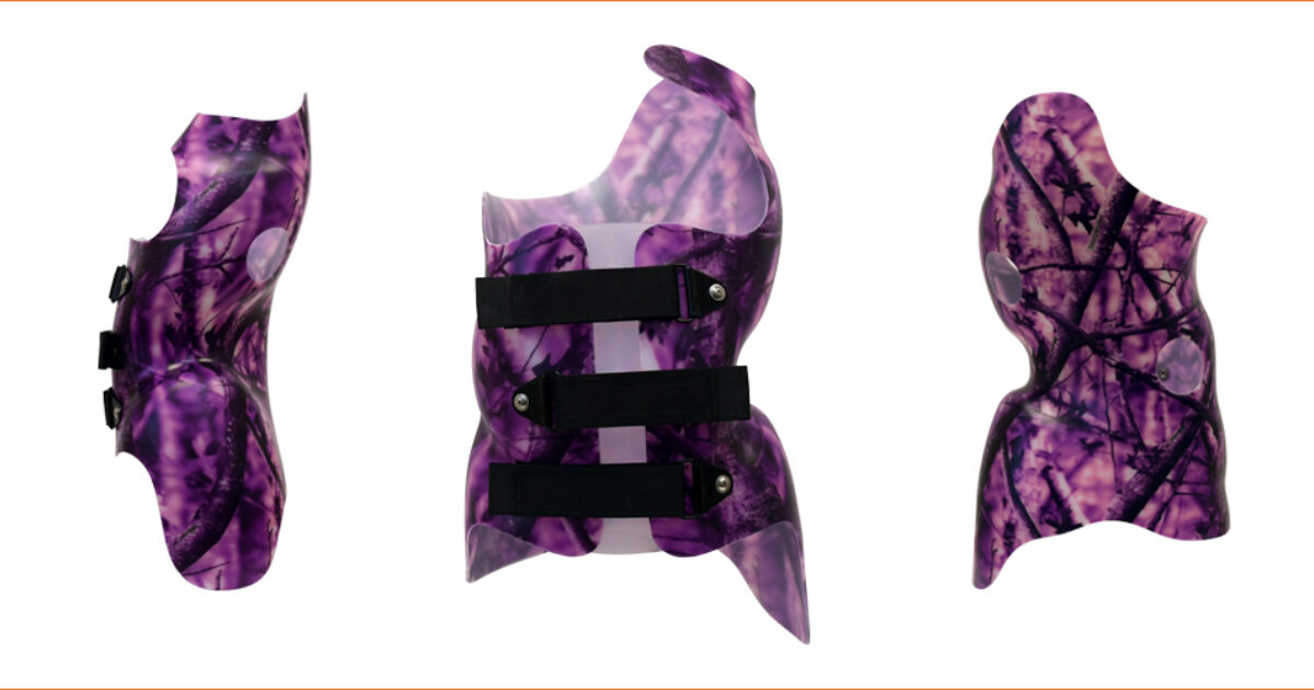 Cheneau_SEO_Overview